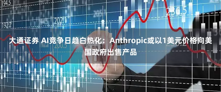 大通证券 AI竞争日趋白热化：Anthropic或以1美元价格向美国政府出售产品