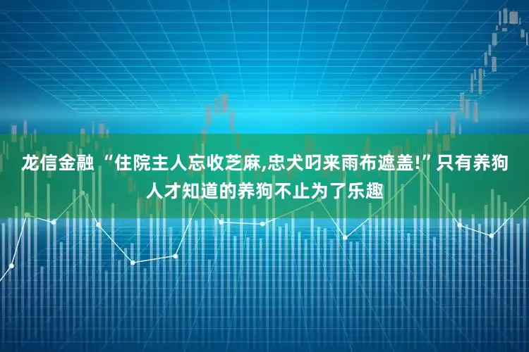 龙信金融 “住院主人忘收芝麻,忠犬叼来雨布遮盖!”只有养狗人才知道的养狗不止为了乐趣